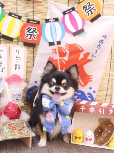 20240730ボスくん